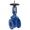 Gate valve Type: 2406NOD Ductile cast iron/Stainless steel PN10 Flange DN50